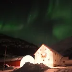 Arctic Aurora View *