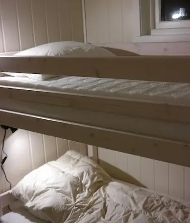 Arctic Aurora View *