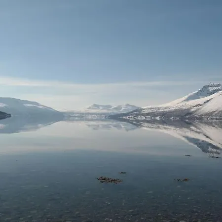 Arctic Aurora View Ytre Tomasjord