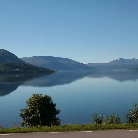 Arctic Aurora View *