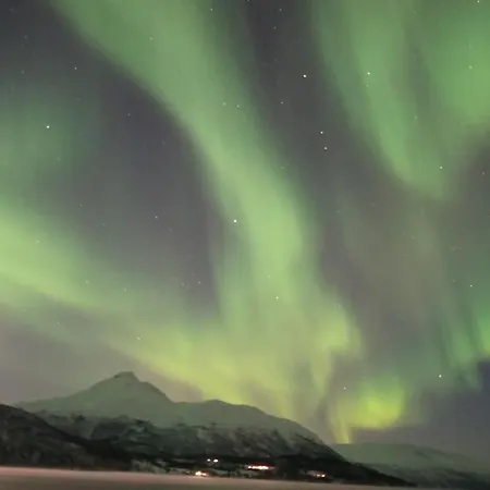 Arctic Aurora View * Ytre Tomasjord