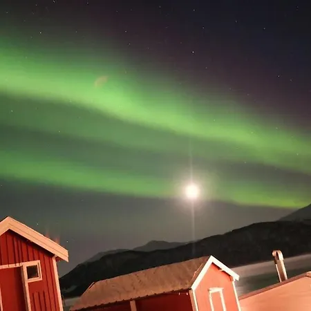 Arctic Aurora View * Ytre Tomasjord