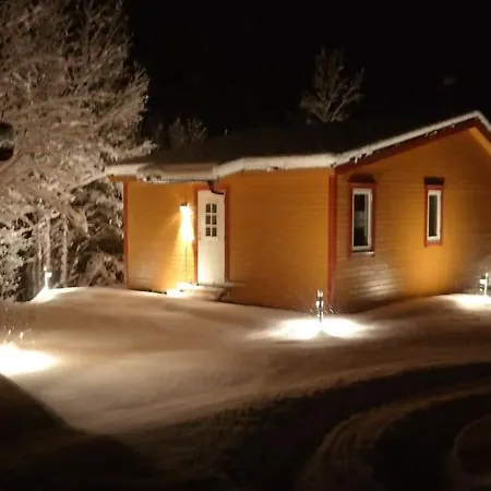 Arctic Aurora View