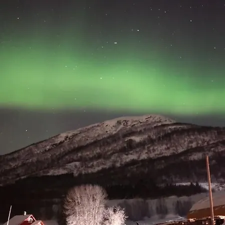 Arctic Aurora View Leilighet Ytre Tomasjord