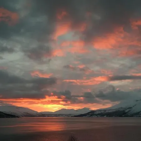 Arctic Aurora View Leilighet