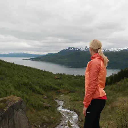 Arctic Aurora View Apartmán Ytre Tomasjord