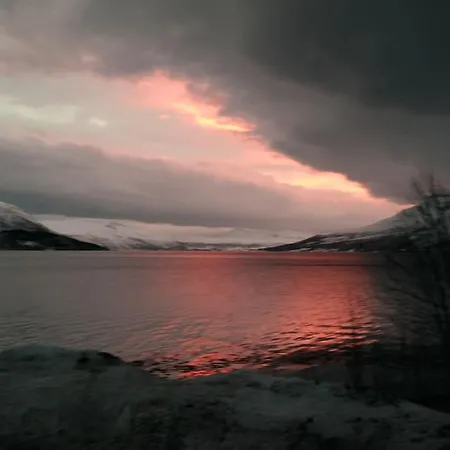 Arctic Aurora View *