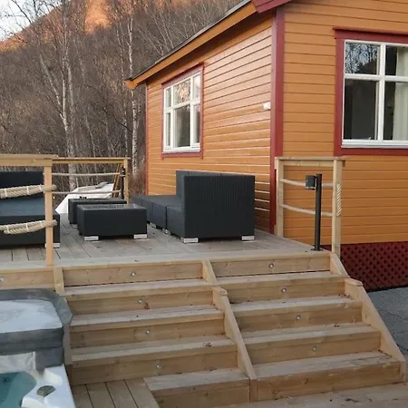 Arctic Aurora View *