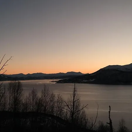 Arctic Aurora View Ytre Tomasjord