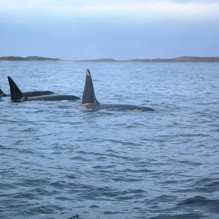 アパート Arctic Aurora View *