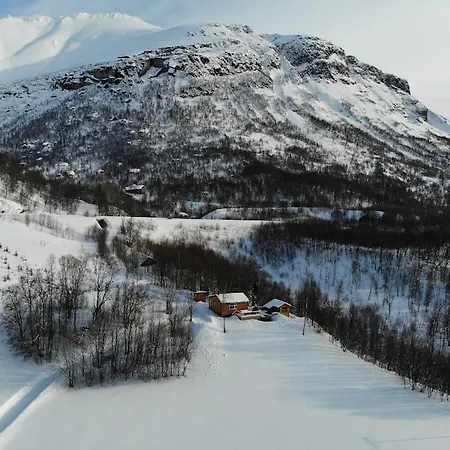 Arctic Aurora View * Ytre Tomasjord