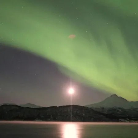 Arctic Aurora View * Ytre Tomasjord