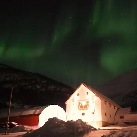 Arctic Aurora View *